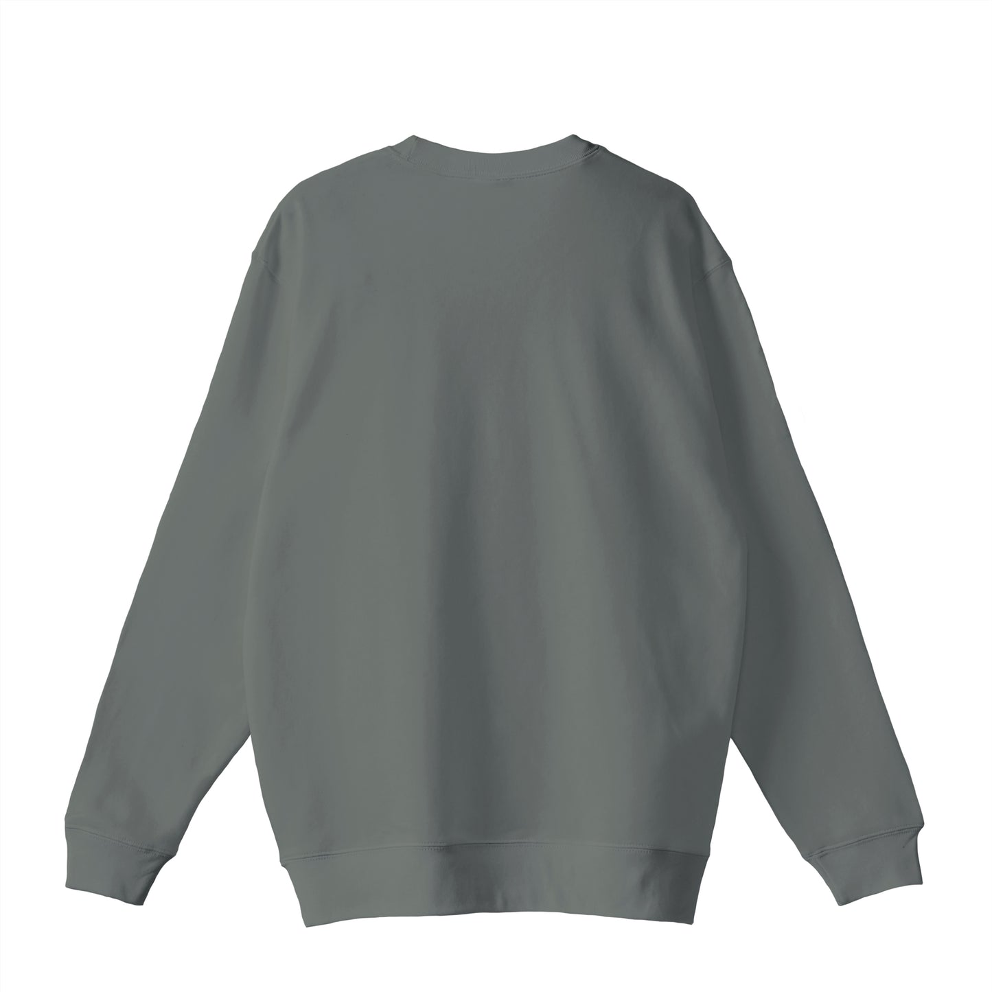 NOT.PERFECT Sweatshirt stone-green image
