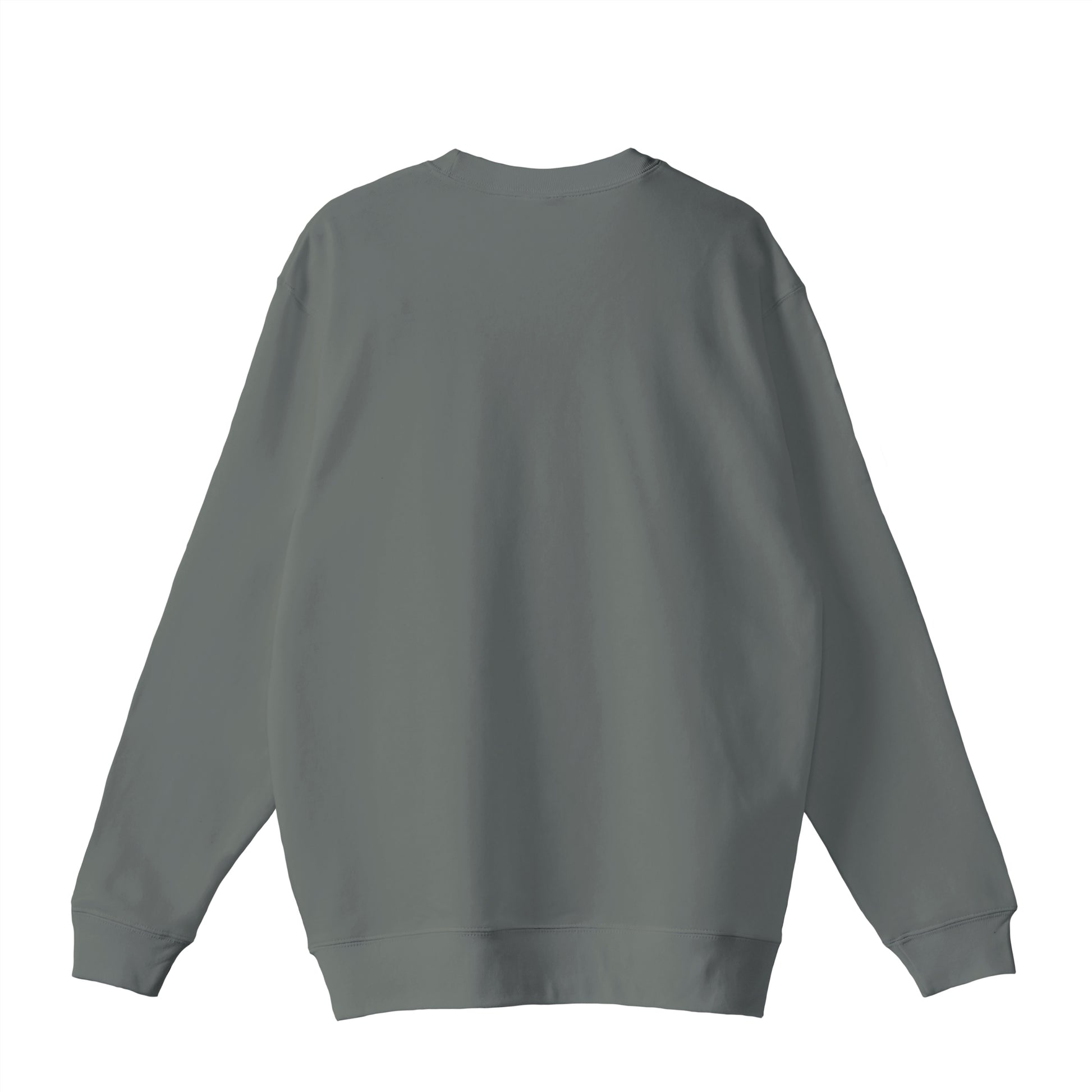 NOT.PERFECT Sweatshirt stone-green image